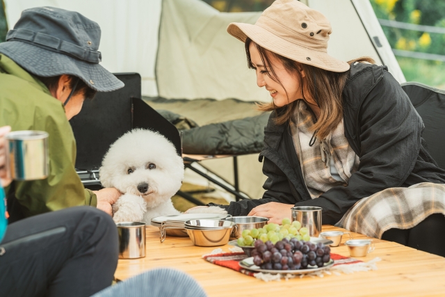 楽しそうにグランピングする男女とペットの犬